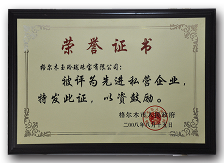 2008年先进私营企业