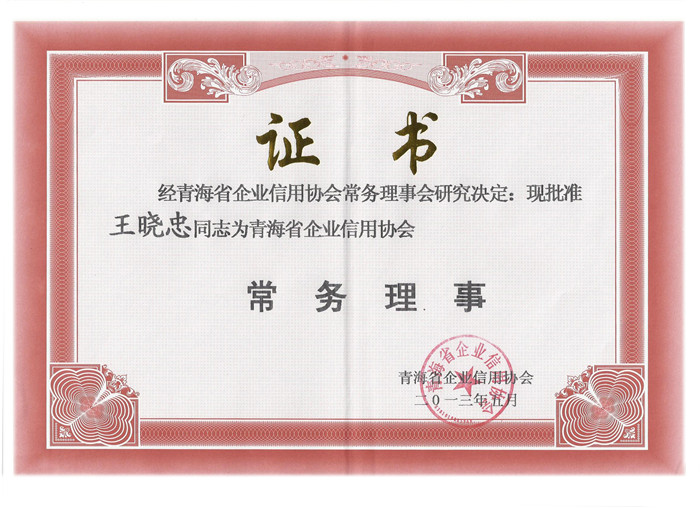 青海省企业信用协会常务理事单位